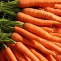 Manufacturers Exporters and Wholesale Suppliers of Fresh Carrot penukonda Andhra Pradesh